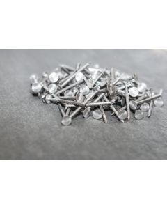 50mmx3.35mm Stainless Steel Clout Nails